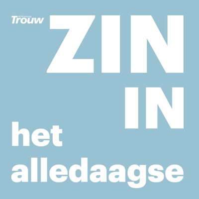 Cover van Zin in het alledaagse