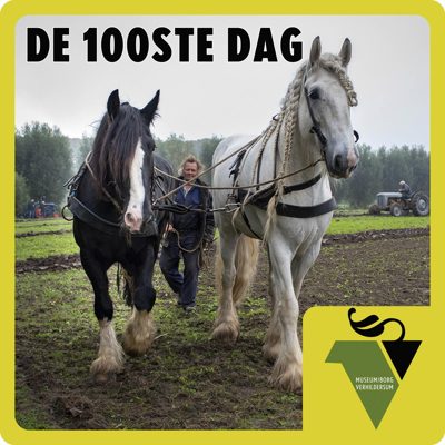 Cover van De 100ste Dag