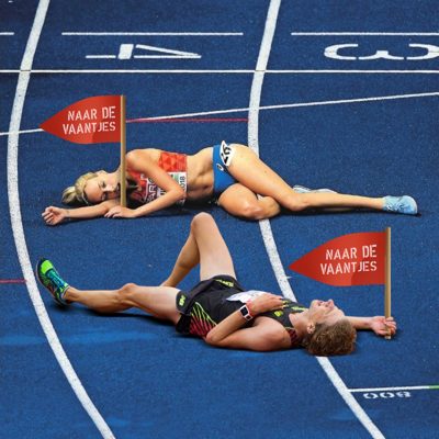 Cover van Naar de Vaantjes