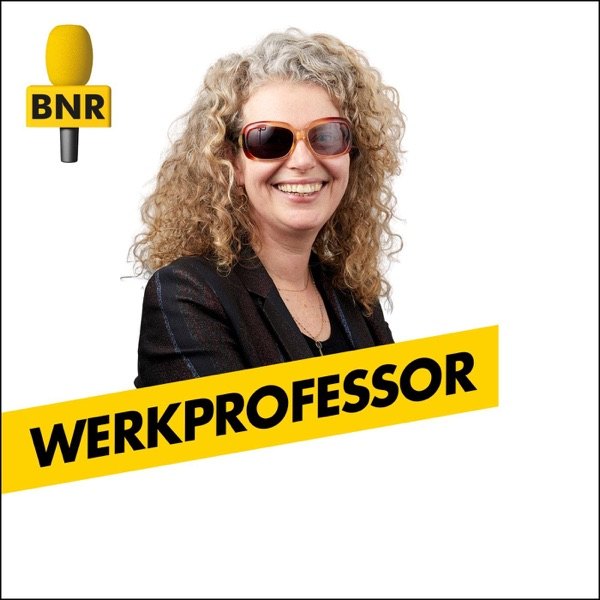 Cover van Werkprofessor | BNR