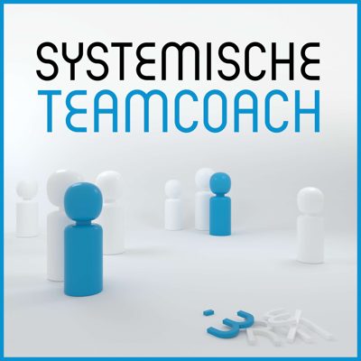 Cover van Systemische Teamcoach