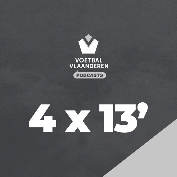 Cover van 4 x 13'