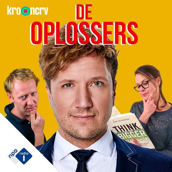 Cover van De Oplossers
