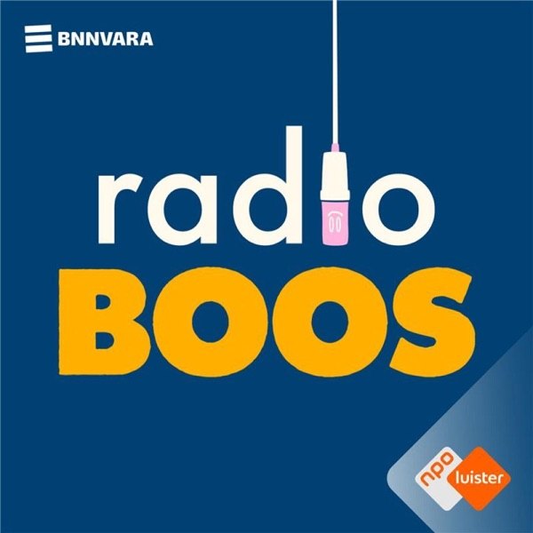RADIO BOOS