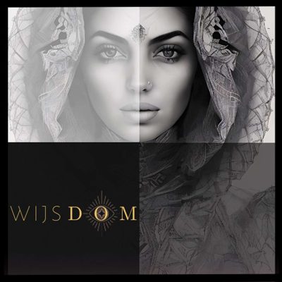 Cover van WijsDom Podcast