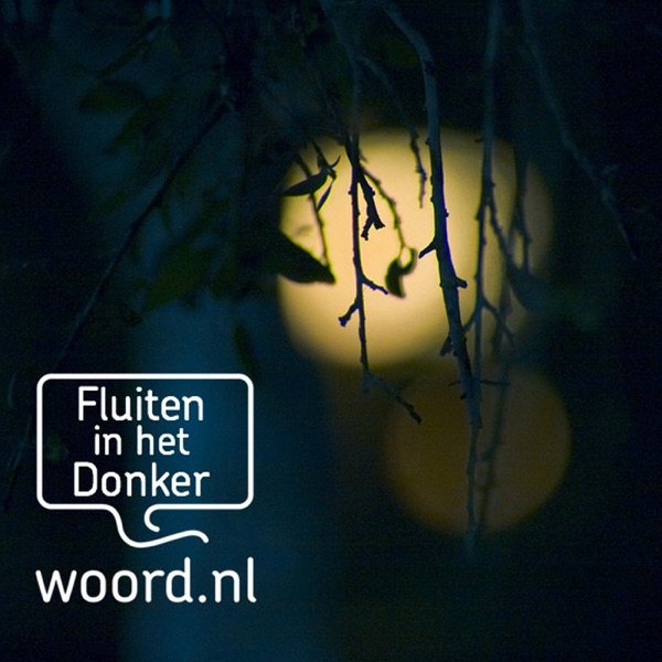 Cover van Fluiten in het donker