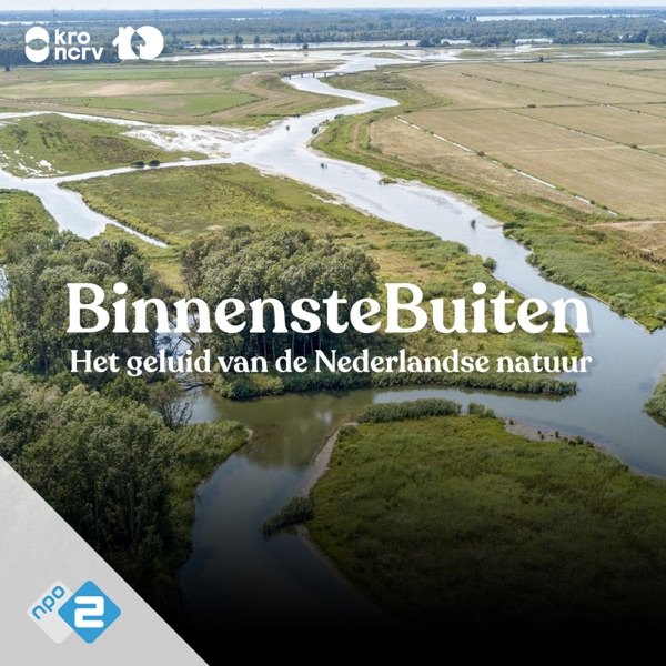 Cover van BinnensteBuiten 3D audio