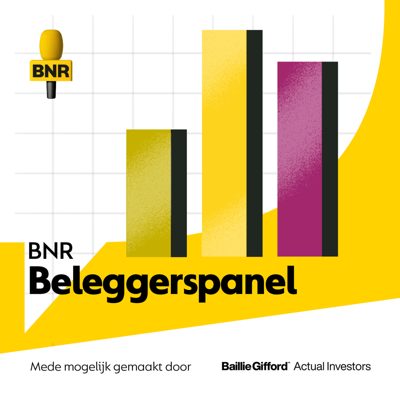 Cover van Beleggerspanel