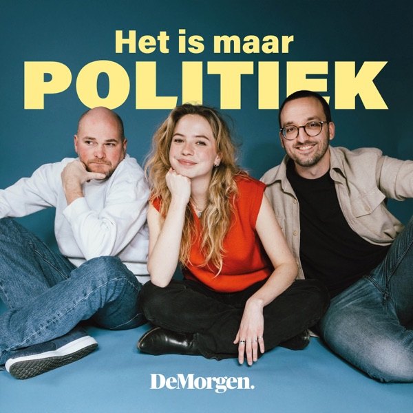 Cover van Het is maar politiek