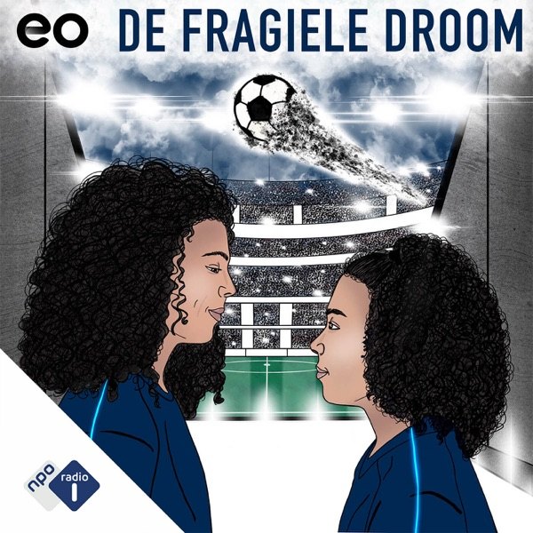 Cover van De Fragiele Droom