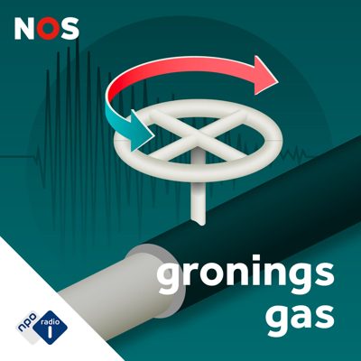 Cover van Gronings gas: gewonnen of verloren?