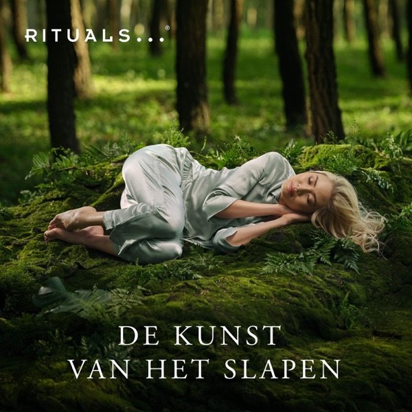 Cover van De Kunst van het Slapen