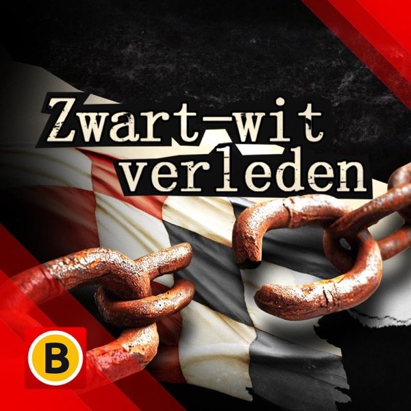 Cover van Zwart-wit verleden