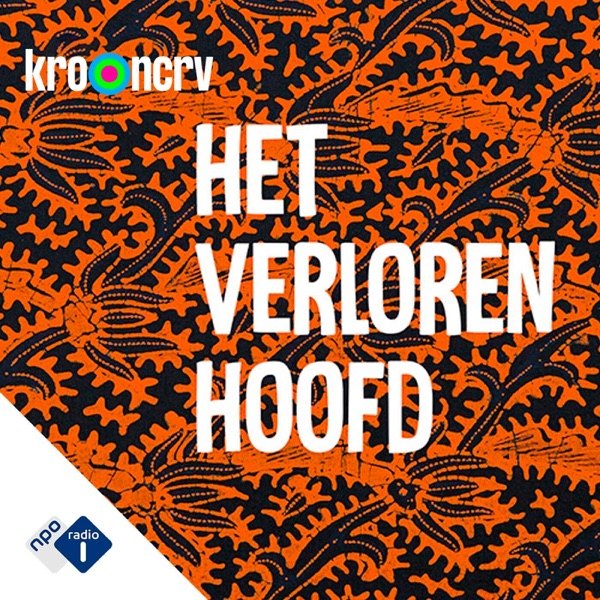 Cover van Het verloren hoofd